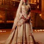 dupatta saree style trend